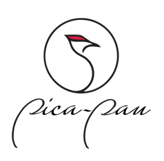 Pica-Pau